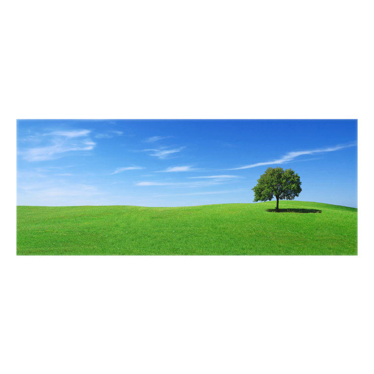 East Urban Home 125cm W x 50cm L Glass Peel and Stick Wayfair.co.uk